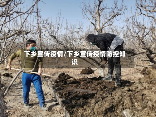 下乡宣传疫情/下乡宣传疫情防控知识