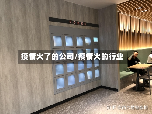 疫情火了的公司/疫情火的行业-第2张图片