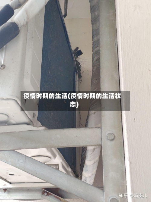 疫情时期的生活(疫情时期的生活状态)