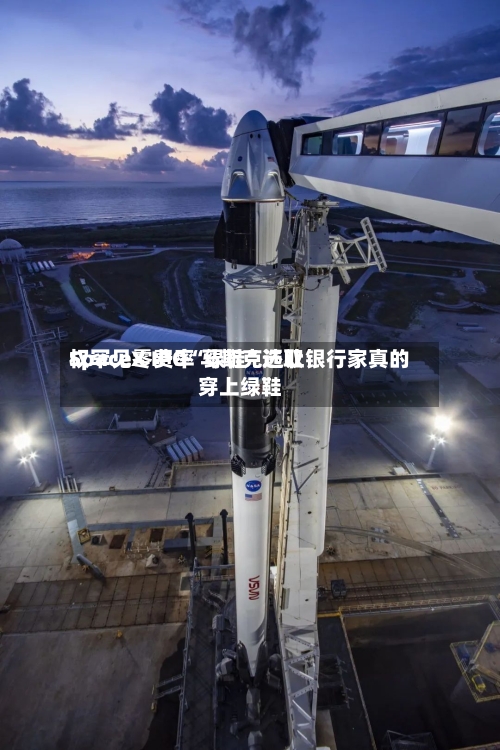 SpaceX IPO“绿鞋”选取权罕见零费率 马斯克还让银行家真的穿上绿鞋