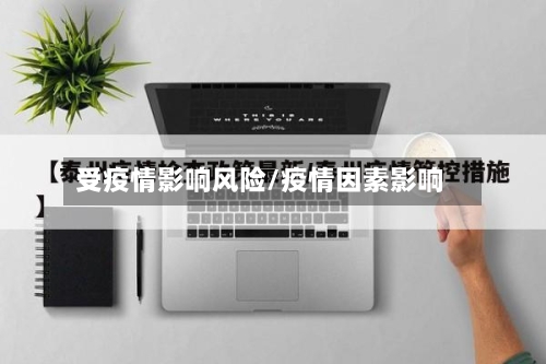 受疫情影响风险/疫情因素影响
