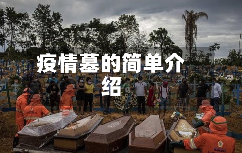 疫情墓的简单介绍
