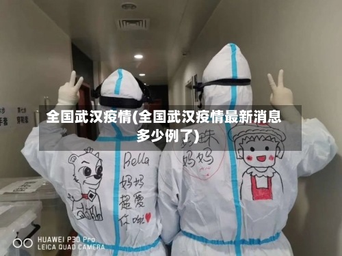 全国武汉疫情(全国武汉疫情最新消息多少例了)
