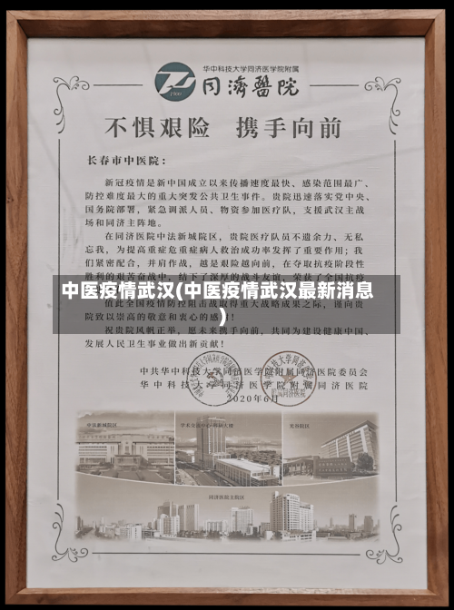中医疫情武汉(中医疫情武汉最新消息)
