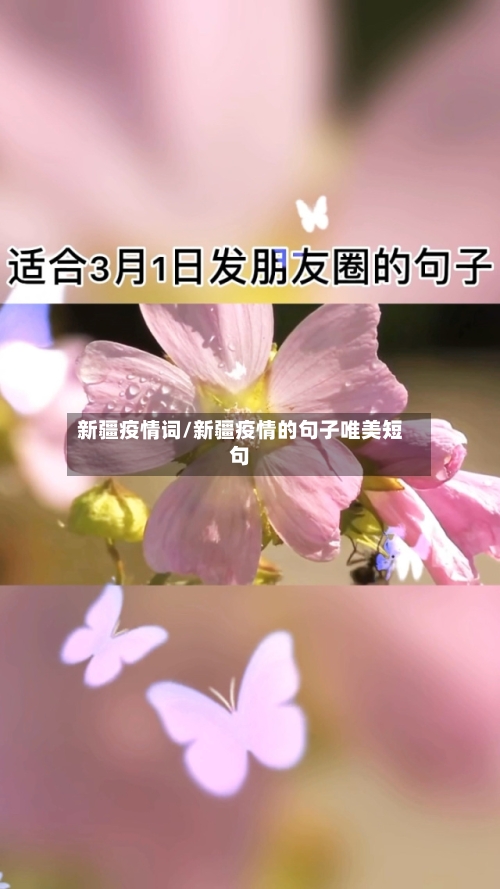 新疆疫情词/新疆疫情的句子唯美短句