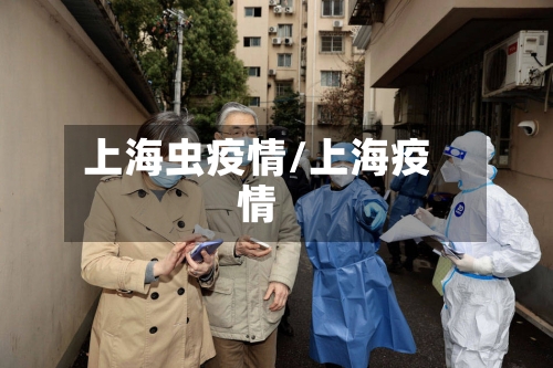 上海虫疫情/上海疫情