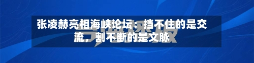 张凌赫亮相海峡论坛：挡不住的是交流	，割不断的是文脉-第2张图片
