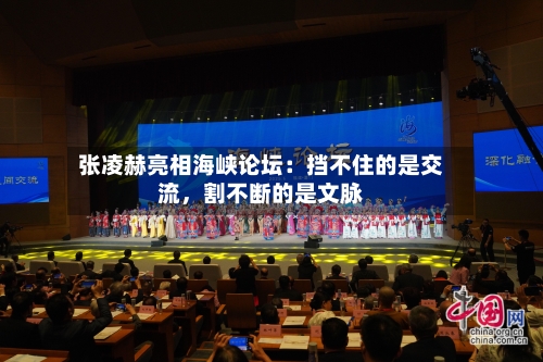 张凌赫亮相海峡论坛：挡不住的是交流，割不断的是文脉