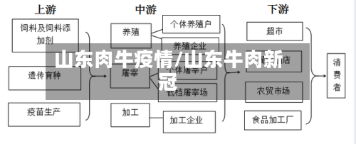 山东肉牛疫情/山东牛肉新冠-第2张图片