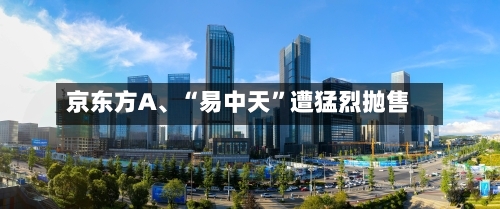 京东方A、“易中天”遭猛烈抛售-第3张图片