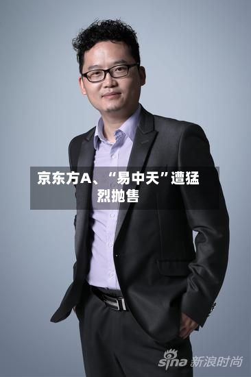 京东方A、“易中天	”遭猛烈抛售-第2张图片