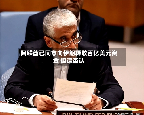 阿联酋已同意向伊朗释放百亿美元资金 但遭否认