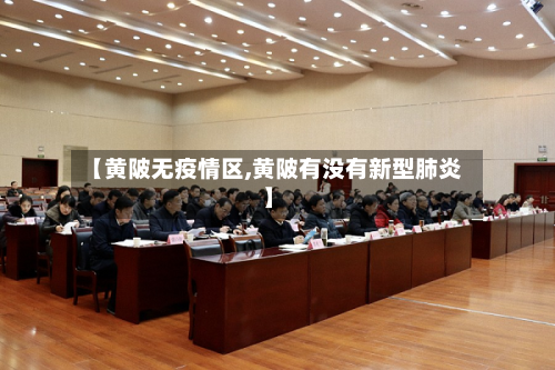 【黄陂无疫情区,黄陂有没有新型肺炎】