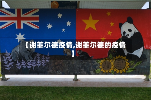 【谢菲尔德疫情,谢菲尔德的疫情】-第3张图片