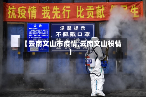 【云南文山市疫情,云南文山役情】