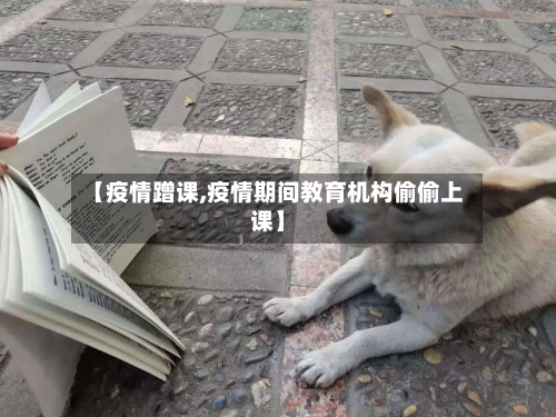 【疫情蹭课,疫情期间教育机构偷偷上课】