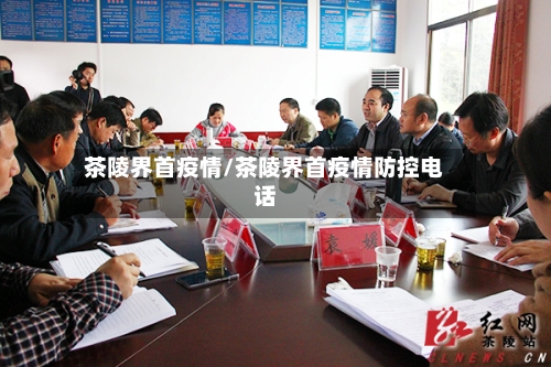 茶陵界首疫情/茶陵界首疫情防控电话-第2张图片