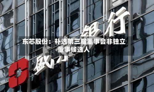 东芯股份:补选第三届董事会非独立董事候选人-第2张图片