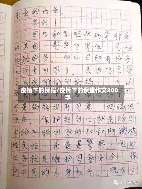 疫情下的课程/疫情下的课堂作文800字-第2张图片