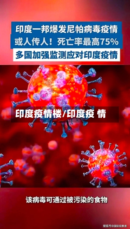 印度疫情楼/印度疫 情-第2张图片