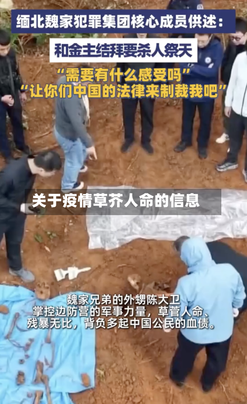 关于疫情草芥人命的信息