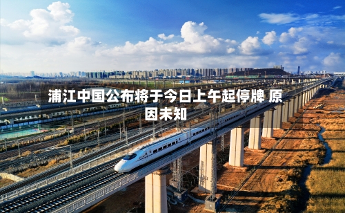 浦江中国公布将于今日上午起停牌 原因未知-第2张图片