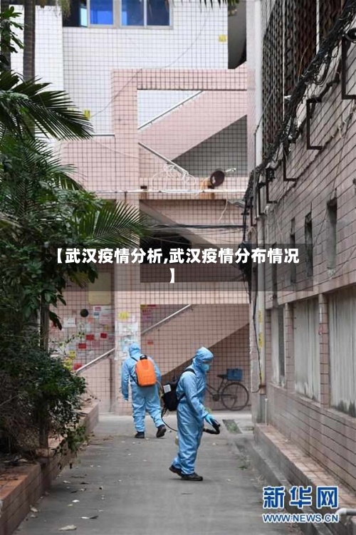 【武汉疫情分析,武汉疫情分布情况】