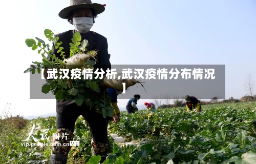 【武汉疫情分析,武汉疫情分布情况】-第2张图片