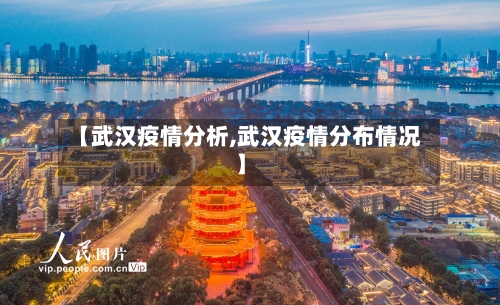 【武汉疫情分析,武汉疫情分布情况】-第3张图片