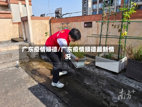 广东疫情顺德/广东疫情顺德最新情况