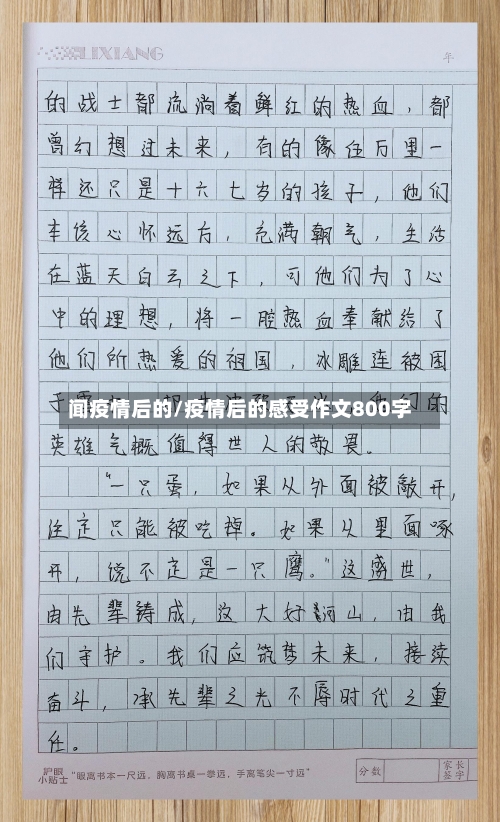 闻疫情后的/疫情后的感受作文800字-第2张图片