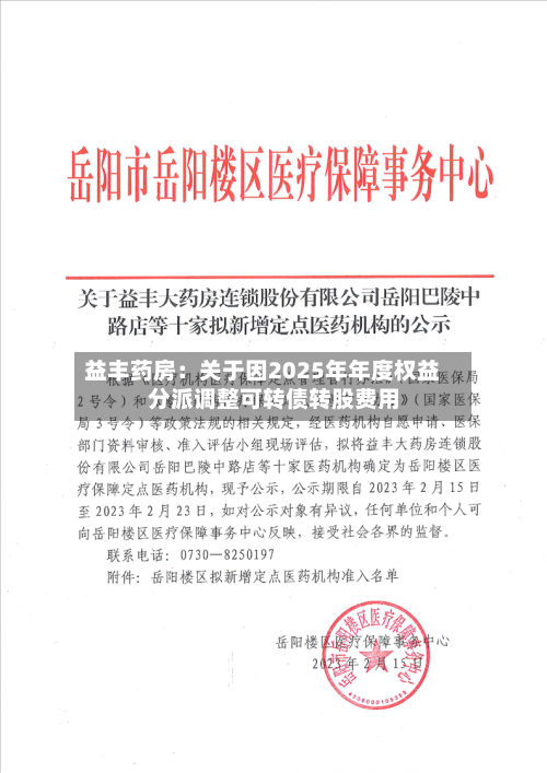 益丰药房:关于因2025年年度权益分派调整可转债转股费用
-第1张图片