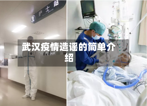 武汉疫情造谣的简单介绍-第3张图片