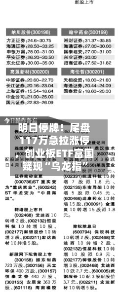 明日停牌！尾盘117万急拉涨停	，创业板ETF富国疑现“乌龙指	”-第2张图片