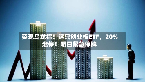 突现乌龙指!这只创业板ETF,20%涨停!明日紧急停牌