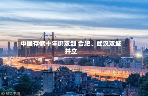 中国存储十年磨双剑 合肥、武汉双城并立-第2张图片