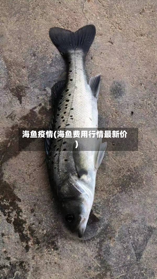 海鱼疫情(海鱼费用行情最新价)