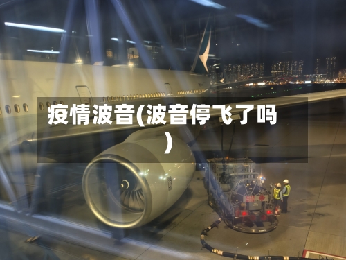 疫情波音(波音停飞了吗)