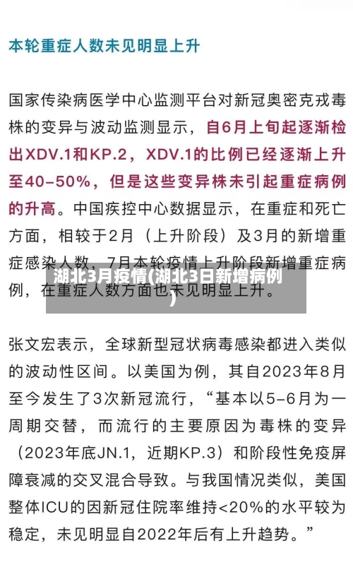 湖北3月疫情(湖北3日新增病例)