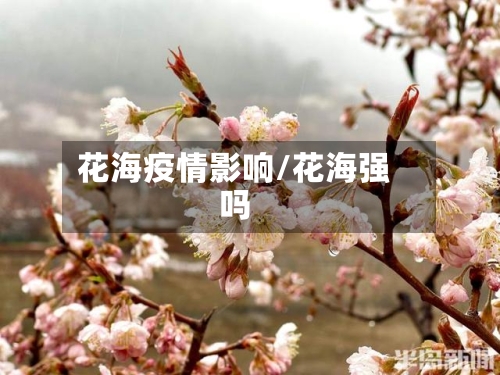 花海疫情影响/花海强吗
