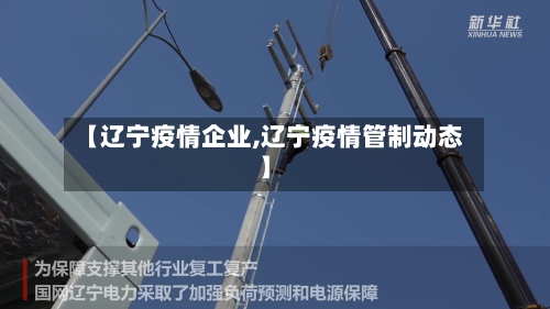 【辽宁疫情企业,辽宁疫情管制动态】-第2张图片