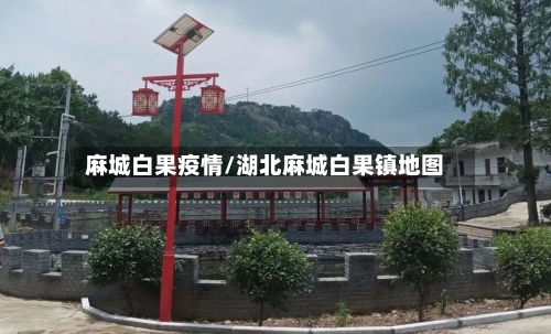 麻城白果疫情/湖北麻城白果镇地图