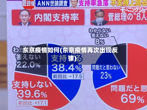 东京疫情如何(东京疫情再次出现反弹)