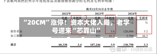 “20CM”涨停!资本大佬入局,老字号迎来“芯靠山”