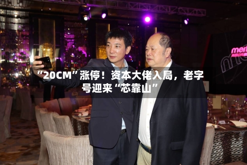 “20CM	”涨停！资本大佬入局，老字号迎来“芯靠山”-第2张图片