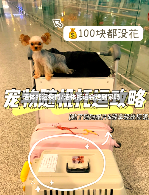 活体托运疫情/活体托运会送到家吗-第3张图片