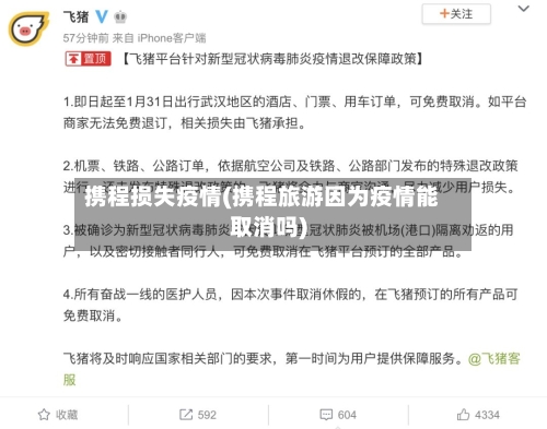 携程损失疫情(携程旅游因为疫情能取消吗)