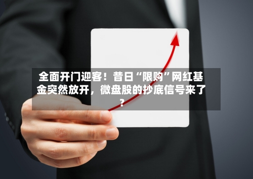 全面开门迎客！昔日“限购”网红基金突然放开，微盘股的抄底信号来了？-第2张图片