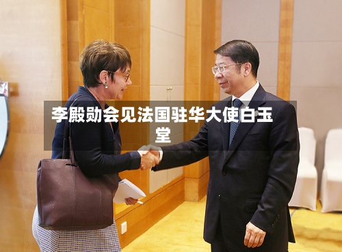 李殿勋会见法国驻华大使白玉堂-第2张图片