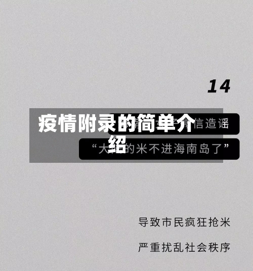 疫情附录的简单介绍